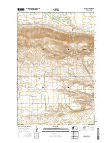 Royal City 2013 topographic map thumbnail
