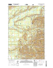 Salmon River East 2014 topographic map thumbnail