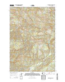 Skamokawa Pass 2013 topographic map thumbnail