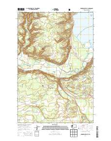 Skokomish Valley 2014 topographic map thumbnail