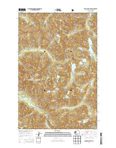 Snoqualmie Lake 2014 topographic map thumbnail