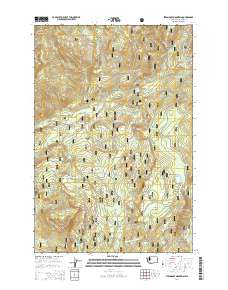 Steamboat Mountain 2014 topographic map thumbnail