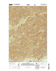 Stequaleho Creek 2014 topographic map thumbnail