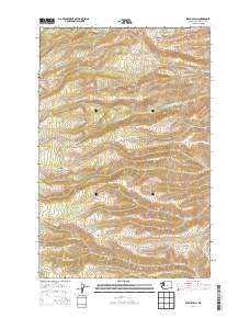 Stray Gulch 2014 topographic map thumbnail