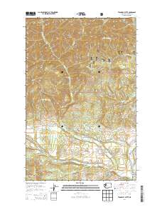 Teanaway Butte 2014 topographic map thumbnail