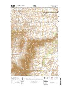 Tekoa Mountain 2014 topographic map thumbnail
