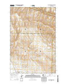 The Cottonwoods 2013 topographic map thumbnail