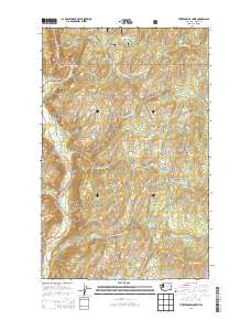 Thirteenmile Creek 2014 topographic map thumbnail
