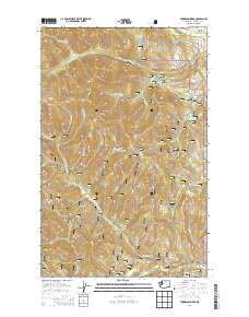 Thompson Ridge 2014 topographic map thumbnail