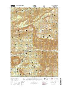 Tieton Basin 2014 topographic map thumbnail