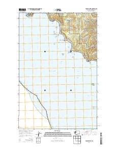 Toleak Point 2014 topographic map thumbnail