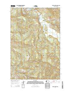 Toutle Mountain 2013 topographic map thumbnail