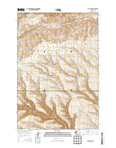 Tule Prong 2013 topographic map thumbnail