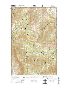 Tunk Mountain 2014 topographic map thumbnail