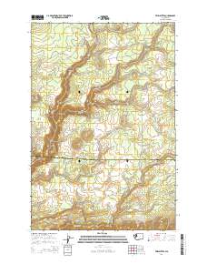 Twin Buttes 2014 topographic map thumbnail