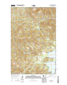 Twin Lakes 2014 topographic map thumbnail