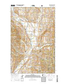 Twisp East 2014 topographic map thumbnail