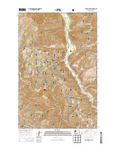 Tyee Mountain 2014 topographic map thumbnail