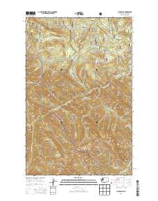 Tyler Peak 2014 topographic map thumbnail