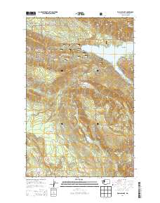 Wallace Lake 2014 topographic map thumbnail