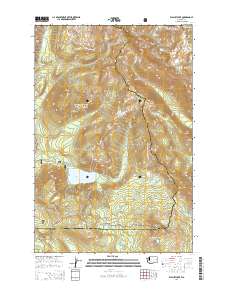 Walupt Lake 2014 topographic map thumbnail