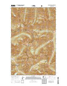 Washington Pass 2014 topographic map thumbnail