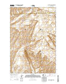 Washtucna South 2014 topographic map thumbnail