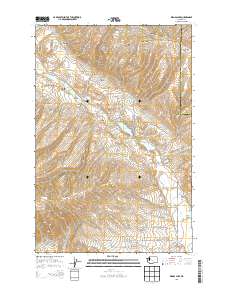 Wenas Lake 2013 topographic map thumbnail