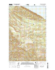 West of Pysht 2014 topographic map thumbnail