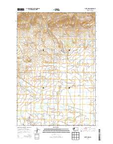 White Swan 2013 topographic map thumbnail