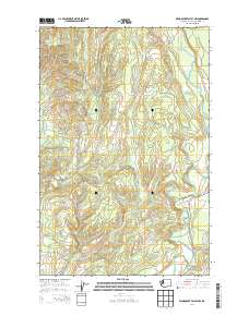 Wynoochee Valley NW 2014 topographic map thumbnail