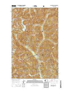 Damnation Peak 2014 topographic map thumbnail