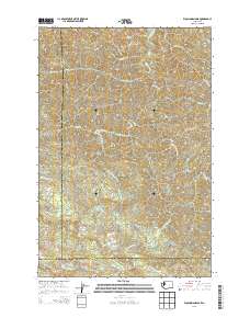 Elochoman Pass 2013 topographic map thumbnail