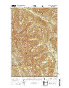 Twin Sisters Mountain 2014 topographic map thumbnail