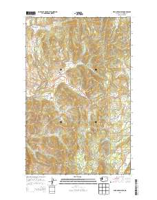 Wellington Peak 2014 topographic map thumbnail