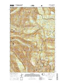 White Pass 2014 topographic map thumbnail