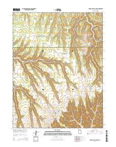 Cedar Camp Canyon 2014 topographic map thumbnail