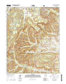 Bryce Point 2014 topographic map thumbnail