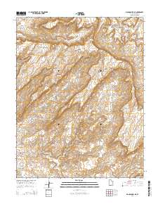 Mancos Mesa NE 2014 topographic map thumbnail