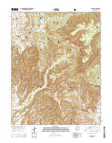 Pine Lake 2014 topographic map thumbnail