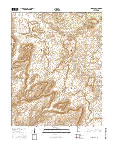Pioneer Mesa 2014 topographic map thumbnail