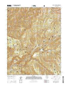 Shelly Baldy Peak 2014 topographic map thumbnail