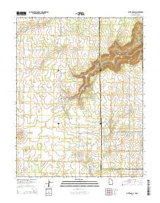 Piute Knoll 2014 topographic map thumbnail