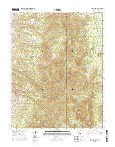 Rice Mountain 2014 topographic map thumbnail