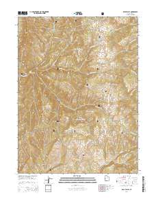 Rays Valley 2014 topographic map thumbnail