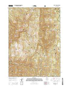 Temple Peak 2014 topographic map thumbnail