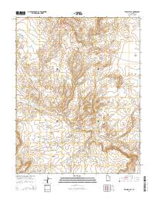 Tenmile Flat 2014 topographic map thumbnail
