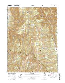 Twin Peaks 2014 topographic map thumbnail