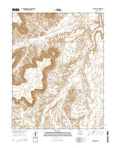 Town Point 2014 topographic map thumbnail