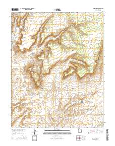 Pine Point 2014 topographic map preview